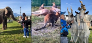 Zoo Park la Baia Mare în vacanța de Paște