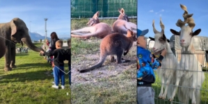 Zoo Park la Baia Mare în vacanța de Paște