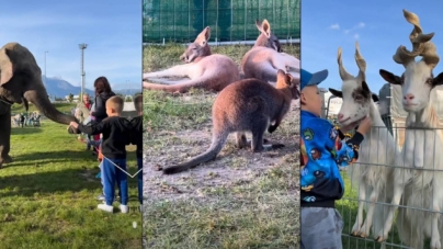 Zoo Park la Baia Mare în vacanța de Paște
