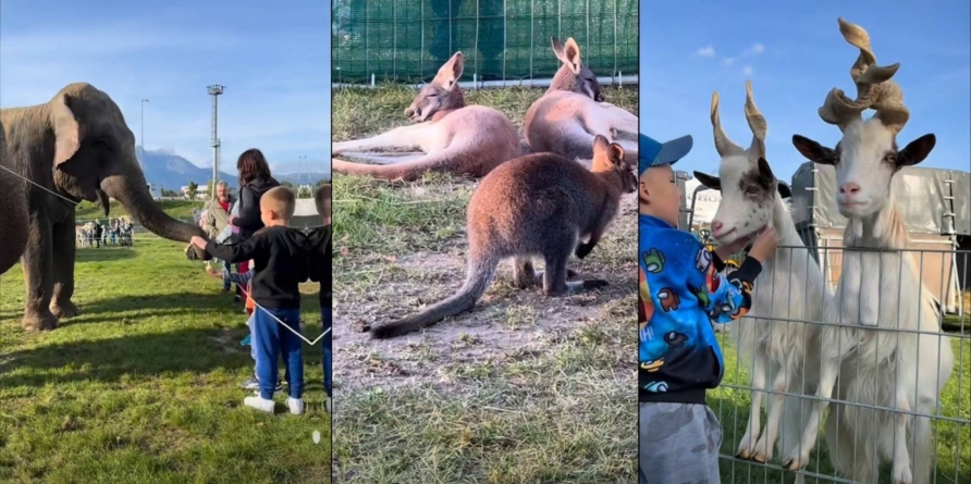 Zoo Park la Baia Mare în vacanța de Paște