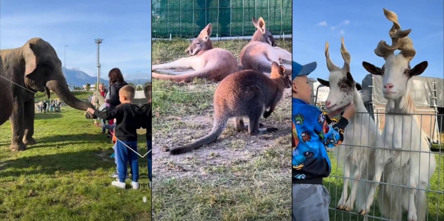 Zoo Park la Baia Mare în vacanța de Paște