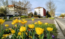 Prognoza meteo Maramureș, miercuri 22 aprilie 2026