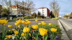 Prognoza meteo Maramureș, miercuri 22 aprilie 2026