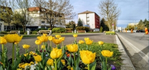 Prognoza meteo Maramureș, miercuri 22 aprilie 2026