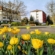 Prognoza meteo Maramureș, duminică 3 mai 2026