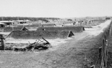 29 aprilie 1945, a fost eliberat lagărul de la Dachau