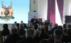 AJVPS Maramureș: situația actuală, taxe și date despre activitate