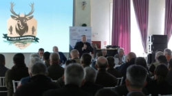 AJVPS Maramureș: situația actuală, taxe și date despre activitate