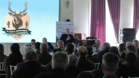 AJVPS Maramureș: situația actuală, taxe și date despre activitate