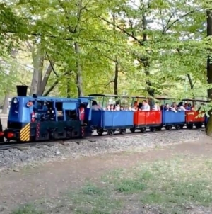 Trenulețul din Parcul Regina Maria are o locomotivă nouă