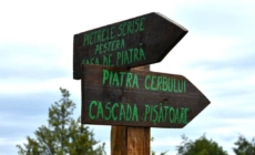 Drumeție în Defileul Lăpușului: între Piatra Cerbului și Cascada Pișătoarea