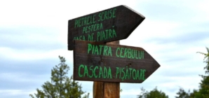 Drumeție în Defileul Lăpușului: între Piatra Cerbului și Cascada Pișătoarea