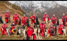 Știați că există o Zi Internațională a Câinilor de Salvare?