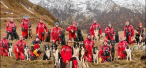 Știați că există o Zi Internațională a Câinilor de Salvare?