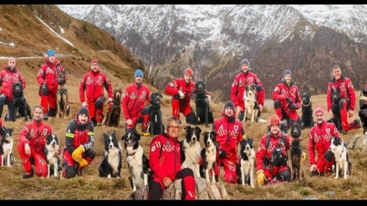 Știați că există o Zi Internațională a Câinilor de Salvare?