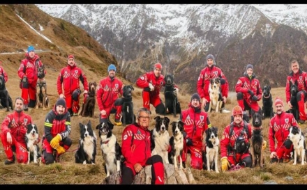 Știați că există o Zi Internațională a Câinilor de Salvare?