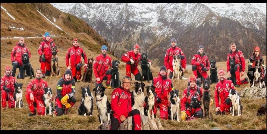 Știați că există o Zi Internațională a Câinilor de Salvare?