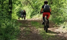 Start de sezon pentru pasionații de mountain bike, zona Groși–Dumbrăvița