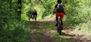 Start de sezon pentru pasionații de mountain bike, zona Groși–Dumbrăvița