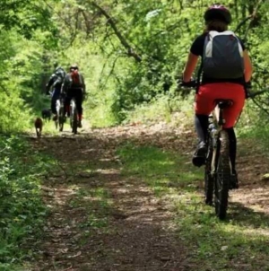 Start de sezon pentru pasionații de mountain bike, zona Groși–Dumbrăvița