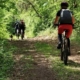 Start de sezon pentru pasionații de mountain bike, zona Groși–Dumbrăvița