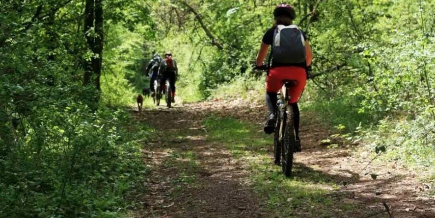 Start de sezon pentru pasionații de mountain bike, zona Groși–Dumbrăvița