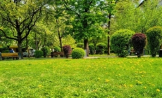 Prognoza meteo Maramureș, luni 27 aprilie 2026