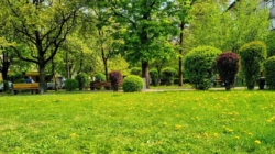 Prognoza meteo Maramureș, luni 27 aprilie 2026