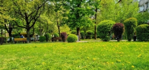 Prognoza meteo Maramureș, luni 27 aprilie 2026