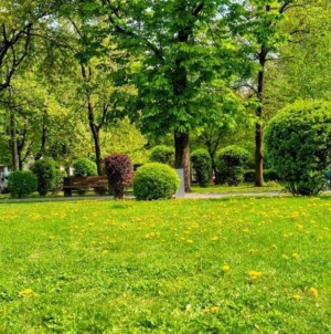 Prognoza meteo Maramureș, luni 27 aprilie 2026