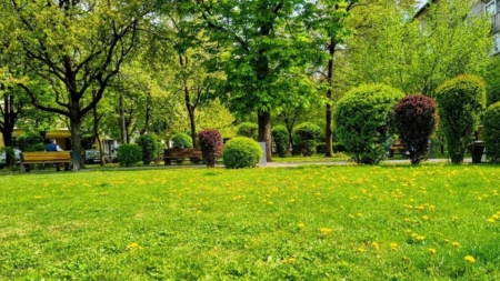 Prognoza meteo Maramureș, joi 7 mai 2026