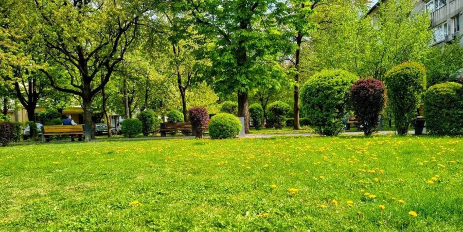 Prognoza meteo Maramureș, joi 7 mai 2026