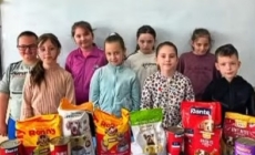 Ziua Internațională a Animalelor fără Stăpân, marcată prin gesturi suflet de către elevii Școlii Gimnaziale „Al. I. Cuza” Baia Mare
