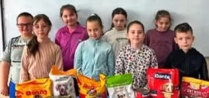 Ziua Internațională a Animalelor fără Stăpân, marcată prin gesturi suflet de către elevii Școlii Gimnaziale „Al. I. Cuza” Baia Mare