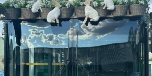 Autobuze pentru participanții la “Paşti în Maramureş”