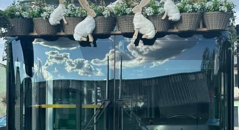 Autobuze pentru participanții la “Paşti în Maramureş”