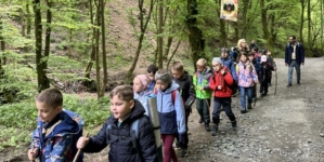 Cercetașii Maramureșului au avut parte de noi drumeții și lecții în mijlocul naturii