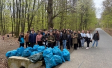 Săptămâna Verde: elevii din Șomcuta Mare s-au mobilizat pentru protejarea mediului înconjurător