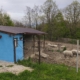 Micro-ferma „Mangalița din Deal”: o inițiativă deosebită a unei familii din Buzești