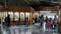 „Săptămâna Verde” a adus un număr record de vizitatori la Muzeul Județean de Mineralogie din Baia Mare