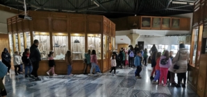 „Săptămâna Verde” a adus un număr record de vizitatori la Muzeul Județean de Mineralogie din Baia Mare