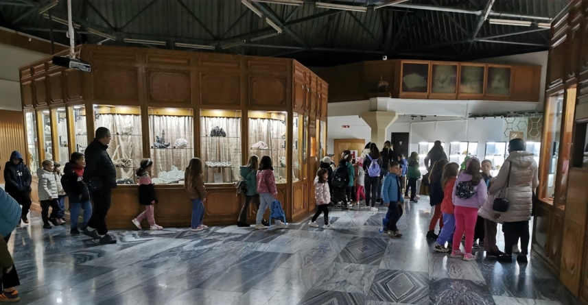 „Săptămâna Verde” a adus un număr record de vizitatori la Muzeul Județean de Mineralogie din Baia Mare