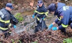 Pompieri la curățenie