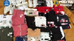 Șase percheziții în Maramureș în dosare privind infracțiuni în domeniul drepturilor de proprietate intelectuală