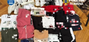 Șase percheziții în Maramureș în dosare privind infracțiuni în domeniul drepturilor de proprietate intelectuală