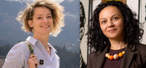 Profesoarele Liana Timiș-Mureșan și Monika Chisacof din Maramureș, premiate la Gala MERITO 2026 pentru excelență în educație