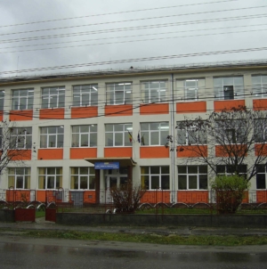 Bilanțul performanțelor obținute de elevii Liceului Teoretic „Ioan Buteanu” Șomcuta Mare la olimpiadele școlare