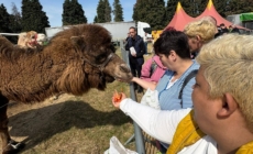 Beneficiarii Centrului „Pinochio” din Cărbunari au avut parte de momente deosebite la Zoo Park Baia Mare