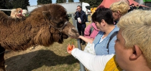 Beneficiarii Centrului „Pinochio” din Cărbunari au avut parte de momente deosebite la Zoo Park Baia Mare