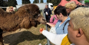 Beneficiarii Centrului „Pinochio” din Cărbunari au avut parte de momente deosebite la Zoo Park Baia Mare